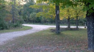 Milagro en Míchigan: hallaron a una bebé extraviada en un bosque mientras dormía sobre su perro