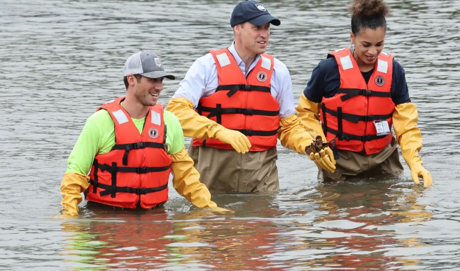 Príncipe William se adentró en las aguas de Nueva York para un proyecto de ostras