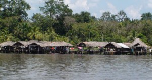 Cesaron las muertes de niños waraos por extraña enfermedad en Delta Amacuro, según comunidad indígena