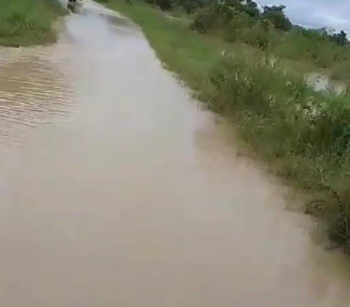 Inundadas permanecen vía rural y potreros en La Costa de Santa Inés de Barinas