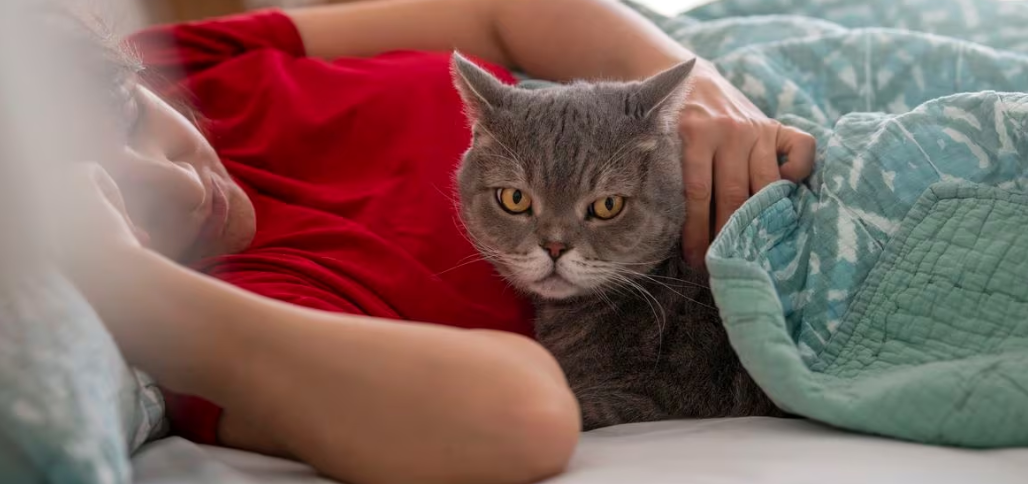 Estos son los riesgos poco conocidos de dormir con perros o gatos