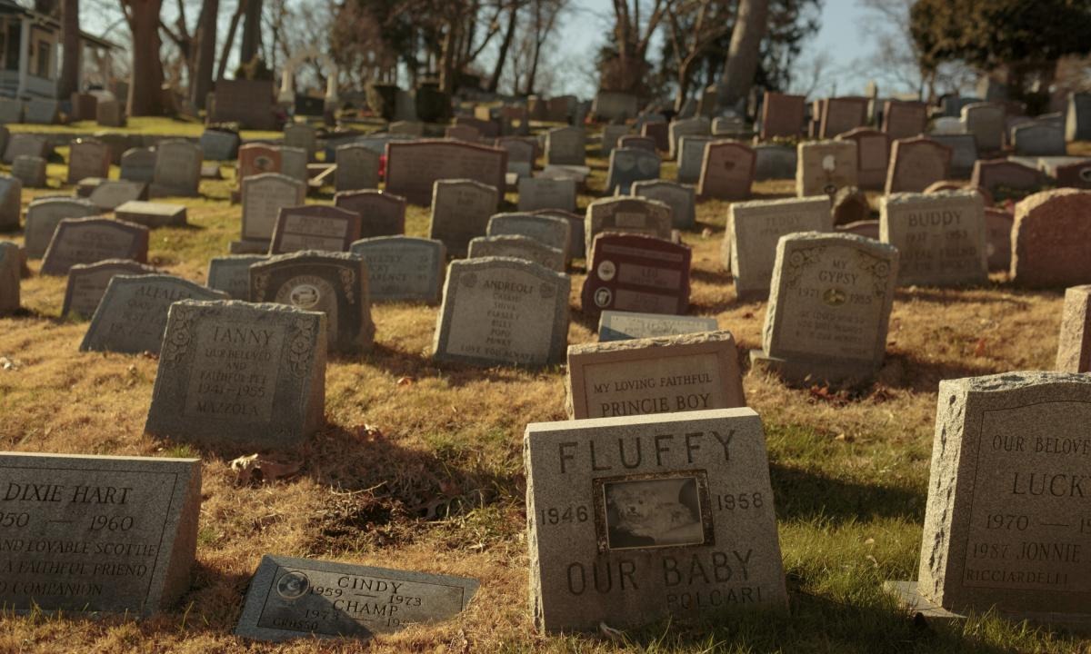 ¿Quién era la misteriosa mujer que fue enterrada sola en un cementerio de mascotas?