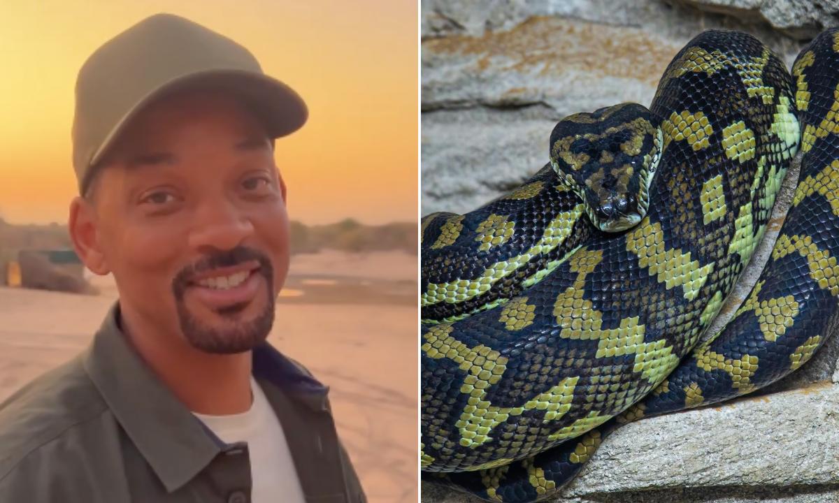 Will Smith ayudó a descubrir la anaconda más grande del mundo en el Amazonas