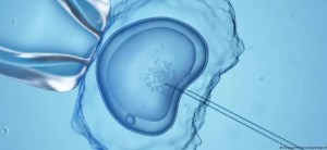 Lo que significa el fallo del Tribunal Supremo de Alabama sobre la fecundación in vitro