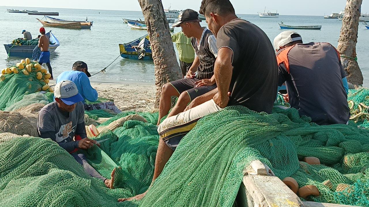 Advierten sobre la disminución de peces en las costas del oriente venezolano