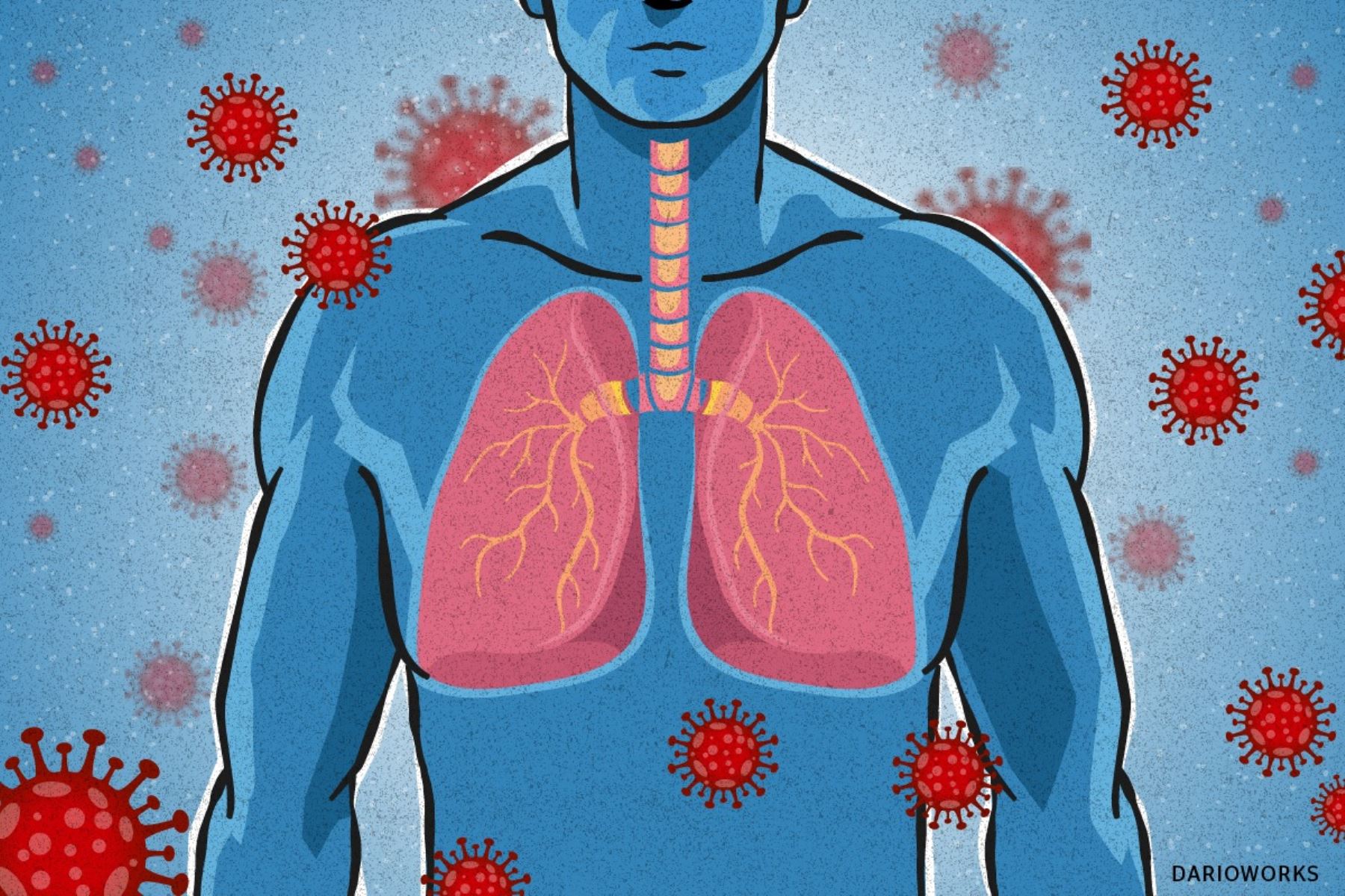 Explican cómo el cuerpo se protege de algunas vías de transmisión de ciertos virus