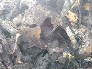 Mueren dos personas calcinadas en accidente aéreo en Apure