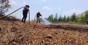 Anuncian investigación para determinar causas del incendio en Uverito al sur de Monagas