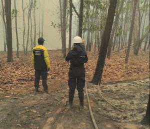 Estiman que en un 80 % está controlado el incendio ocurrido en bosque de Uverito