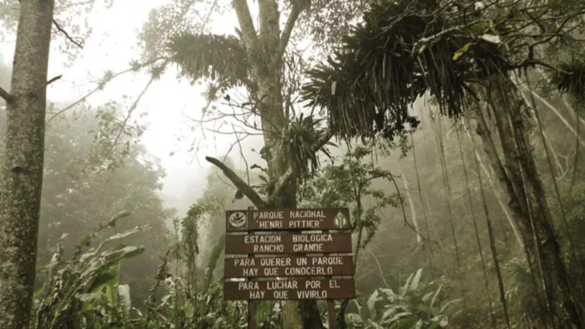 Alertan sobre ausencia del Estado para atender la crisis ambiental e incendios forestales en Venezuela