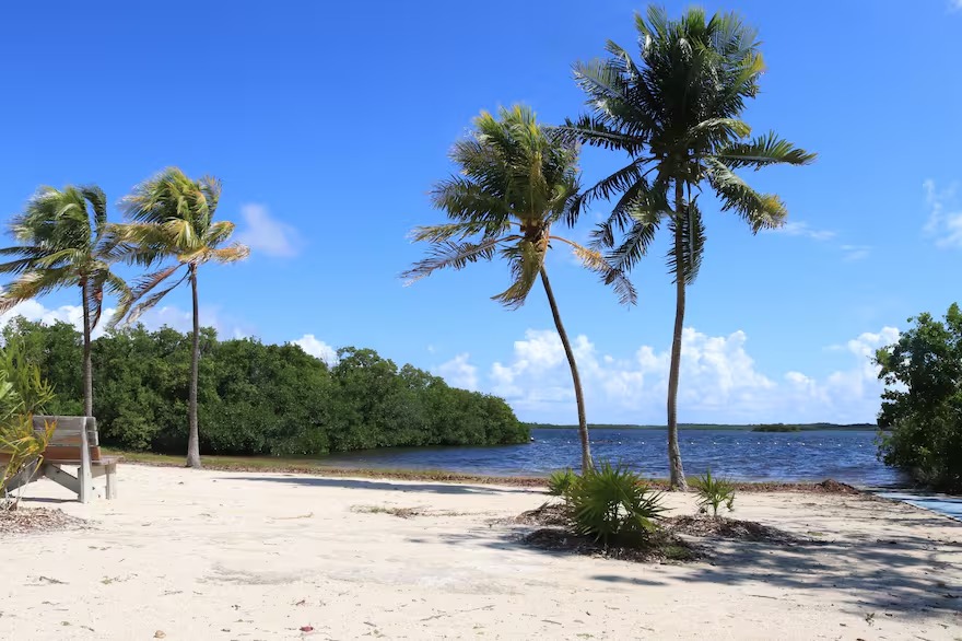 El raro artefacto que desapareció en Florida y fue hallado meses después en una isla remota, a casi siete mil kilómetros