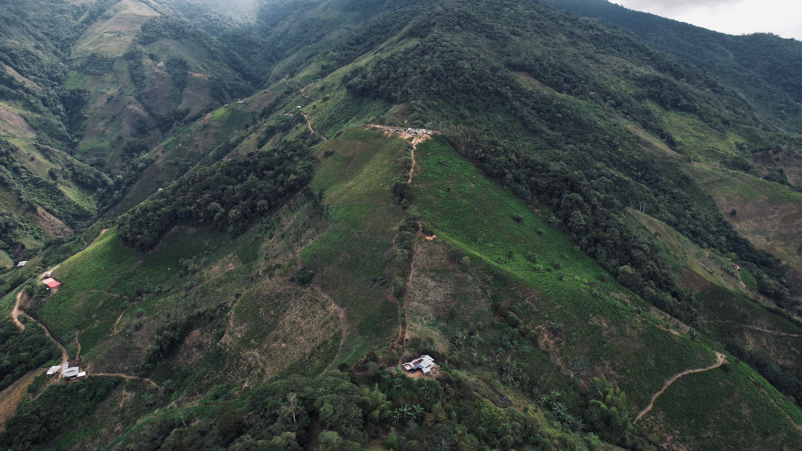 El cañón del Micay: el bastión de una guerrilla que dificulta las negociaciones de paz en Colombia