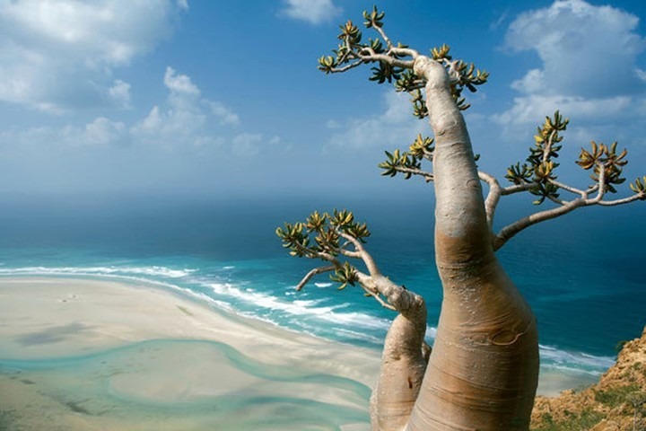 Brujos poderosos, serpientes voladoras y otras leyendas en una misteriosa isla del océano Índico que parece de otro mundo