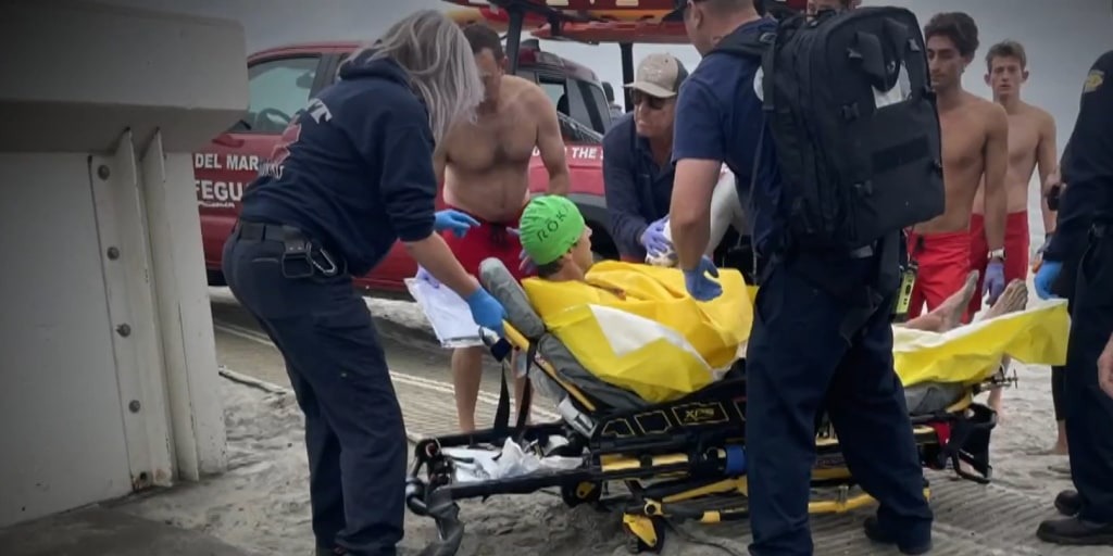 Ataque salvaje en California: Tiburón le propinó brutal mordida a un nadador y este le dio un puñetazo en la cara