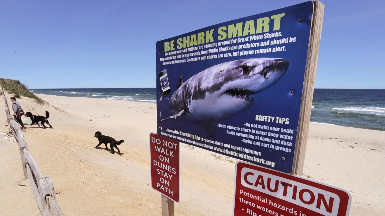Nuevo ataque de tiburón sacude a Hawái días después de muerte de legendario surfista