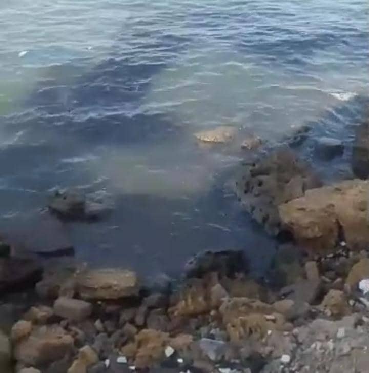 Derrame de petróleo afecta al ecosistema y la pesca artesanal en playa de Carirubana en Falcón