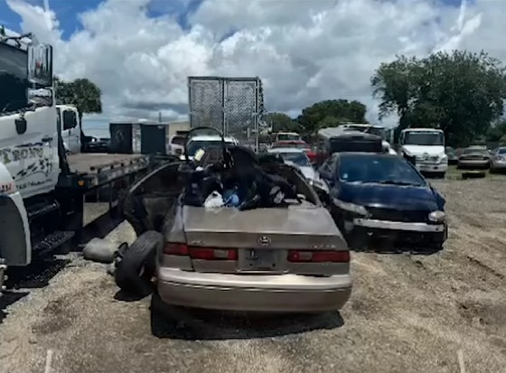 Venezolana perdió la vida luego de sufrir un terrible accidente en Florida