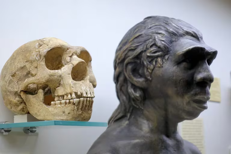 Un estudio vincula el autismo con el ADN heredado de los neandertales