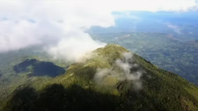 Cómo es la “isla en el cielo”, el curioso bosque de África que fue hallado hace apenas 20 años