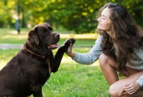 Un concurso ofrece 10 millones de dólares a la persona que se pueda comunicar con un animal