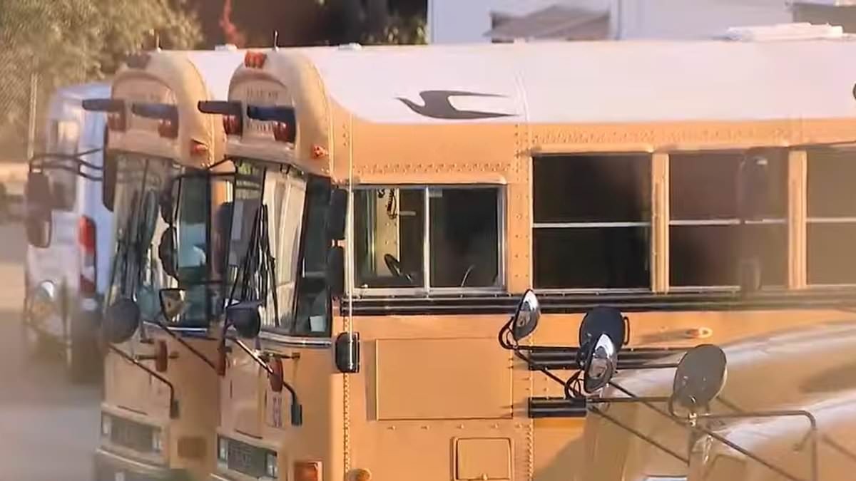 Escena aterradora: Grupo de 20 migrantes intentó invadir un autobús escolar de California (VIDEO)