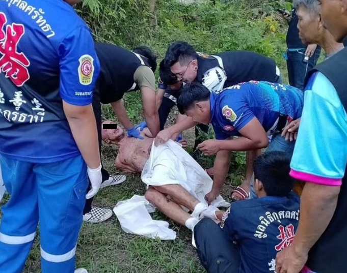 Turista ruso fue corneado tras intentar violar una vaca en Tailandia, ahora será “castigado por Putin”