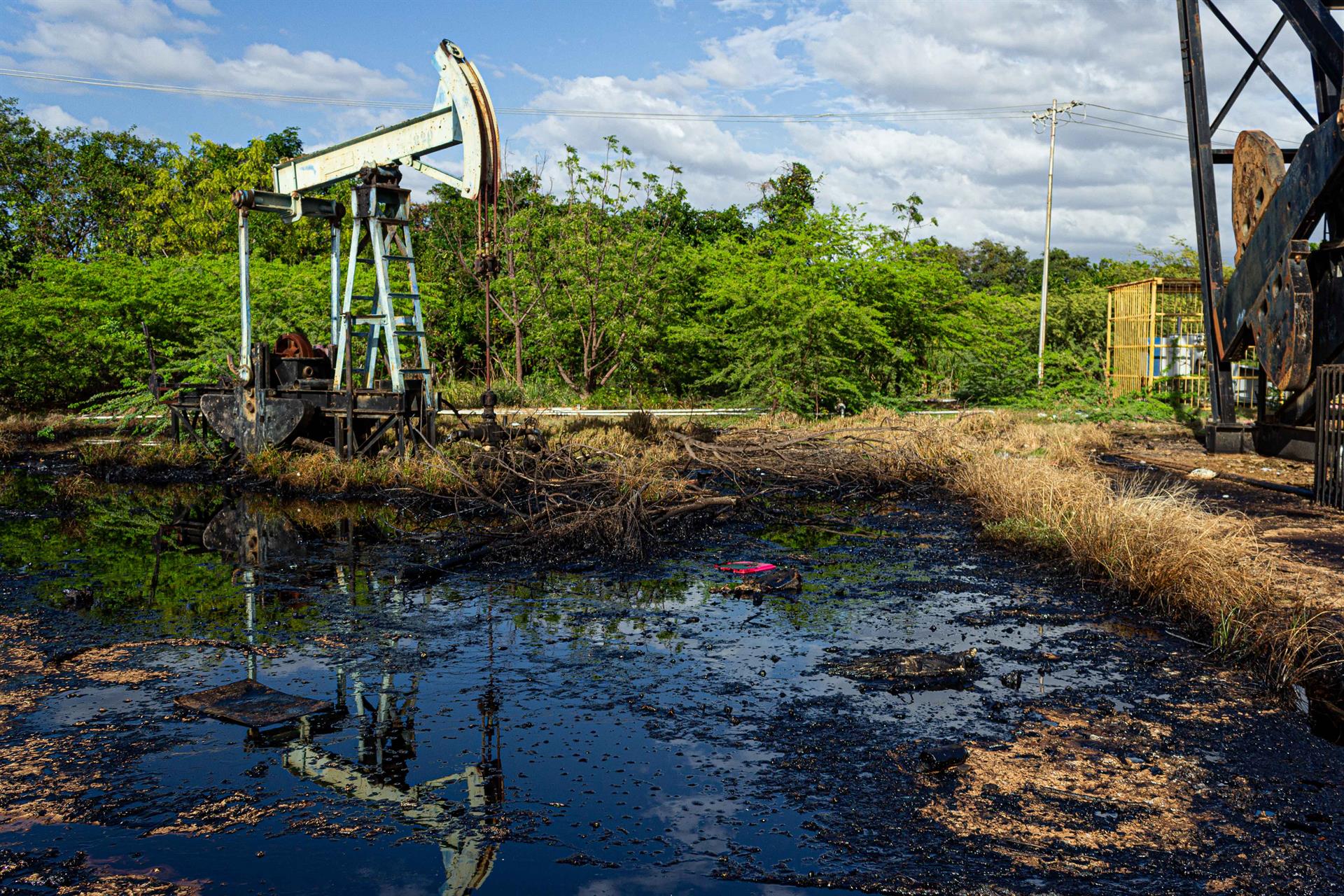 Crisis ambiental en Venezuela: Cinco problemas que siguen creciendo ante la desidia gubernamental