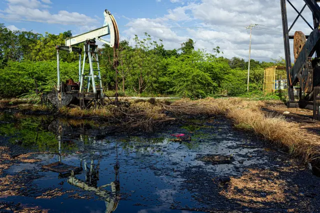 Environmental crisis in Venezuela: Five problems that continue to worsen as a result of government neglect