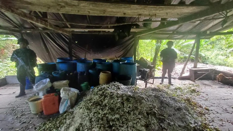 Así era como disidencias de las Farc producían seis toneladas de cocaína en lo más profundo de la selva