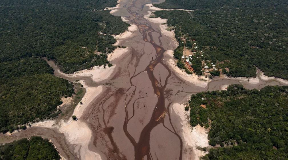 Un filtro ayudará a potabilizar el agua marrón de los ríos amazónicos en Brasil