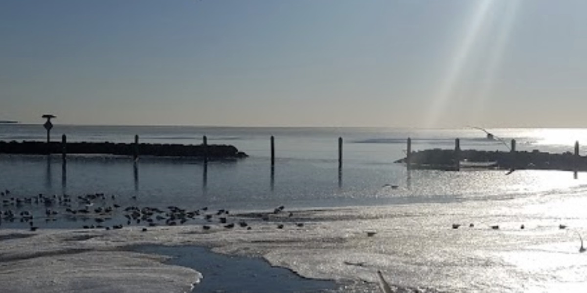 Encontró un ataúd en una bahía de Virginia y lo que había adentro lo dejó sin palabras