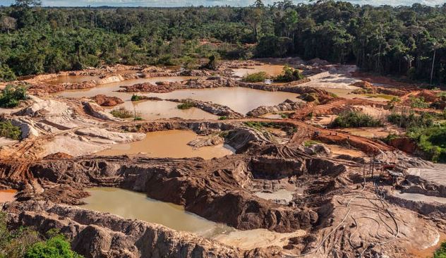 Minería ilegal genera preocupante pérdida de hectáreas en Amazonía venezolana, denunció SOS Orinoco