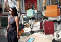 Mujer se hace viral por ir de compras con robots Tesla que cargan sus bolsas: ¿inteligencia artificial o realidad?