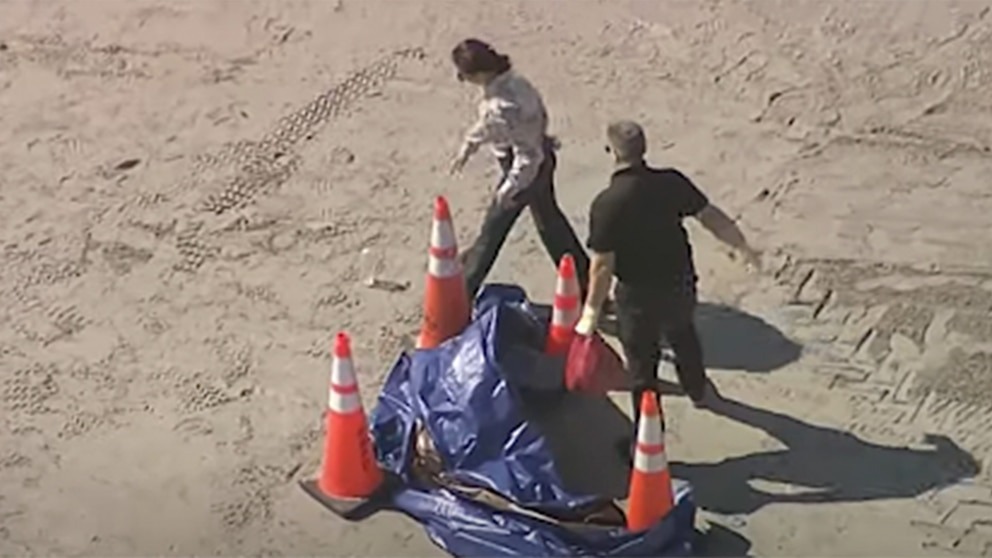 VIDEO: Misterio por el hallazgo de una cabeza humana en playa de Key Biscayne