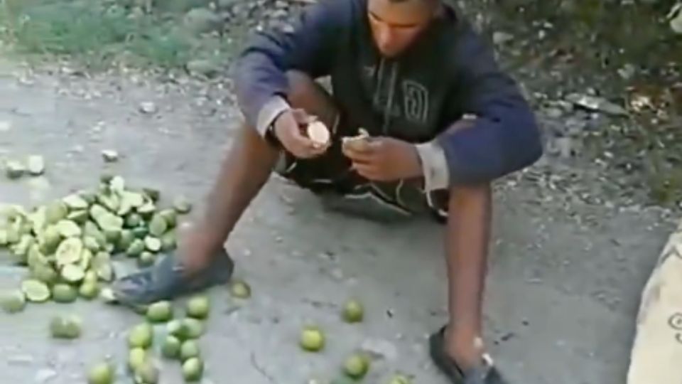 Lo obligaron a comerse el saco de limones que robó para no cortarle las manos