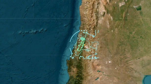 Sin reporte de daños: Sismo de magnitud 6,3 causó alarma en el centro de Chile