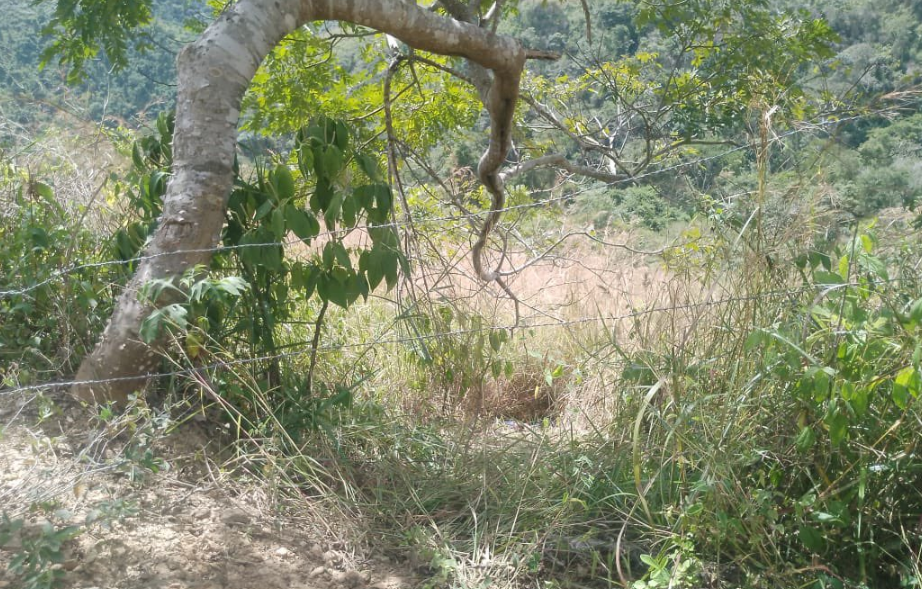 Joven salió a visitar a un amigo en Navidad y tres días después apareció muerto en El Hatillo