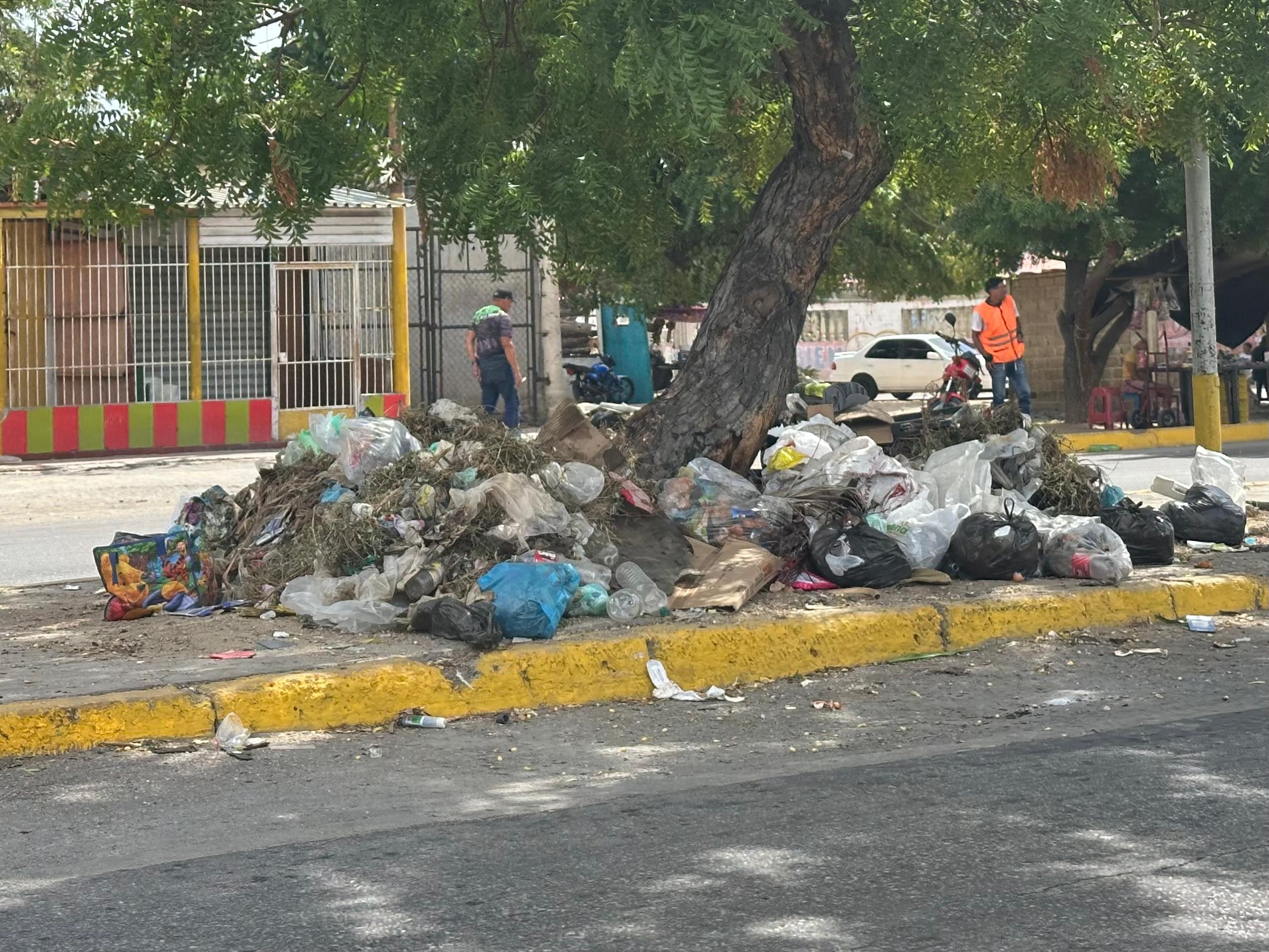 Vecinos del sector 4 de La Llanada en Cumaná denunciaron fallas en la recolección de basura