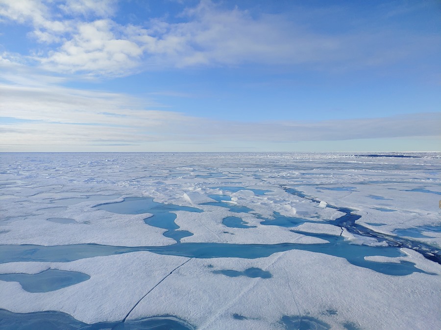 Nuevo estudio anticipa un Ártico libre de hielo en 2027