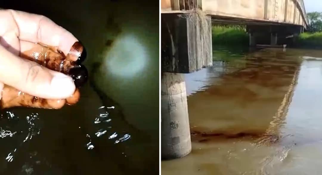 Residuos de petróleo observaron pescadores en el río Santo Domingo en Barinas