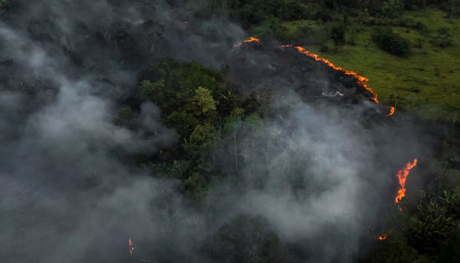 Selva amazónica de Brasil cerró 2024 con alarmante cantidad de incendios nunca antes registrados