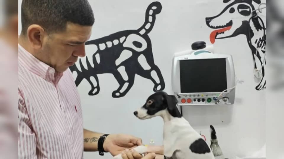 Excarcelado José Manuel Robles, el asistente veterinario de Barinas que estuvo preso en Tocorón